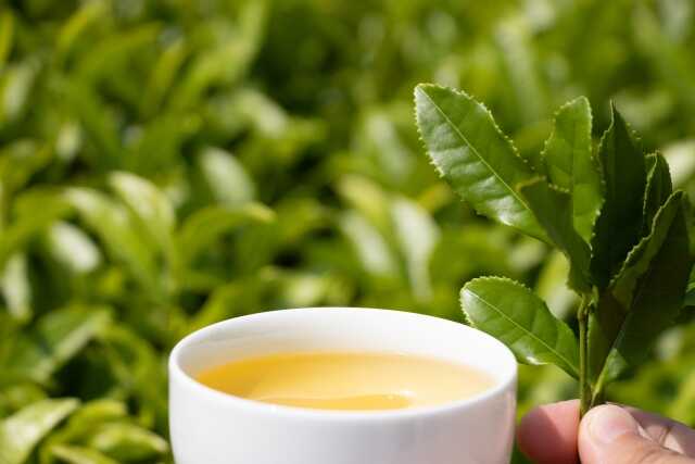 green tea_leaves_and_cup